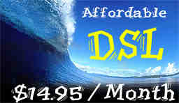 $14.95 DSL